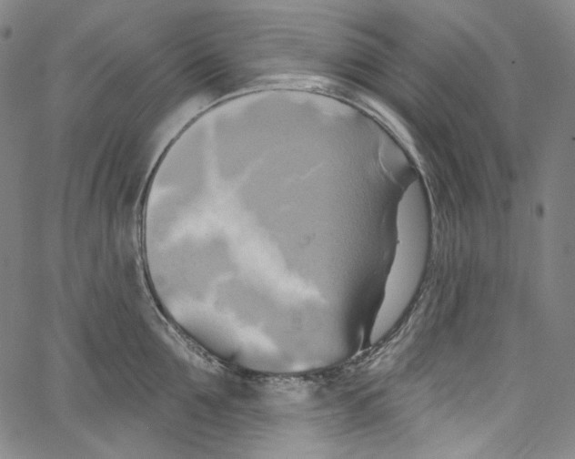 X0000067350907200604281439