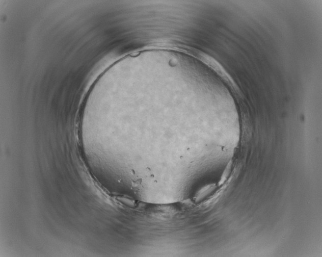 X0000067350908200604281439