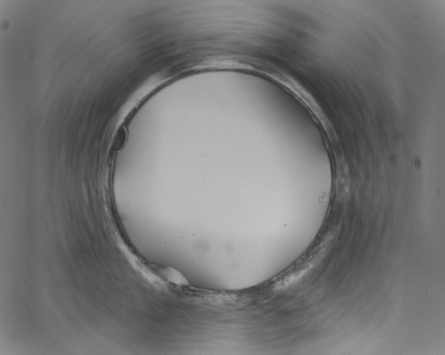 X0000067350909200604281439