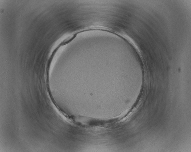 X0000067350910200604281439