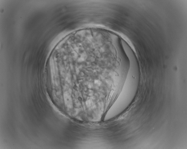 X0000067350911200604281439