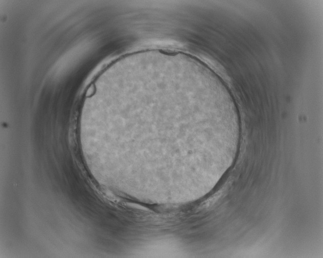 X0000067350912200604281439