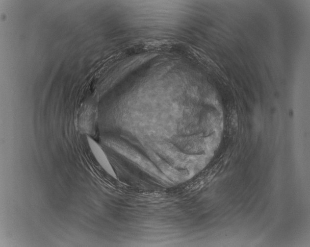 X0000067350914200604281438