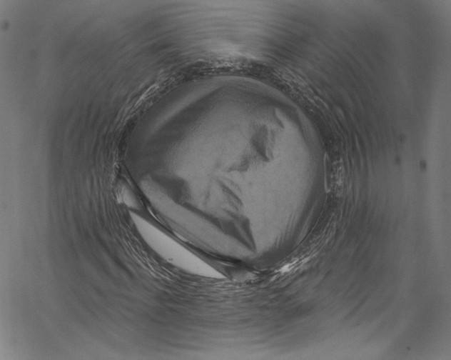 X0000067350916200604281438