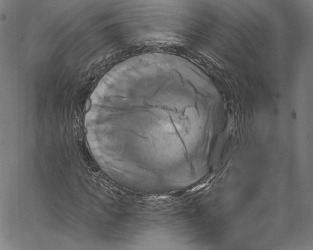 X0000067350917200604281438