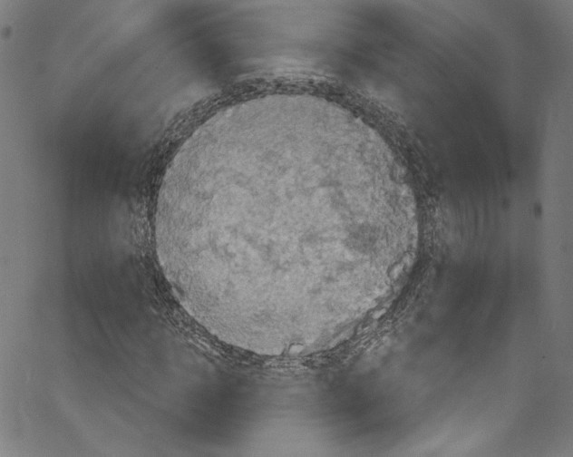 X0000067350918200604281438