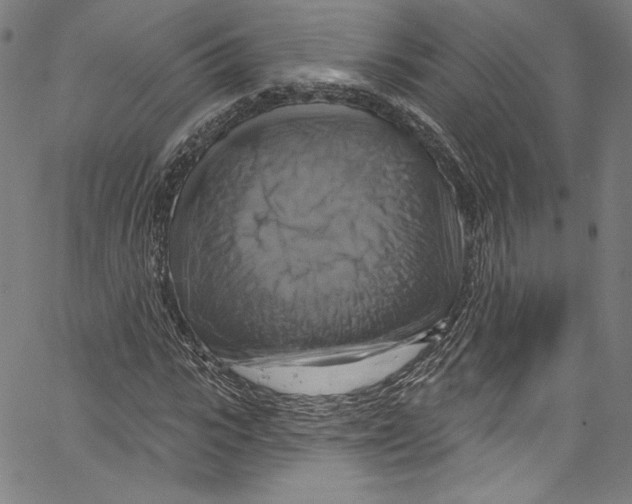 X0000067350919200604281438