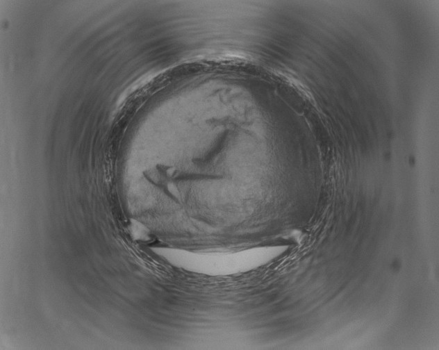 X0000067350920200604281438