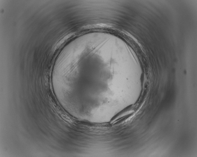 X0000067350921200604281438