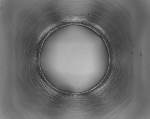 X0000067350922200604281438