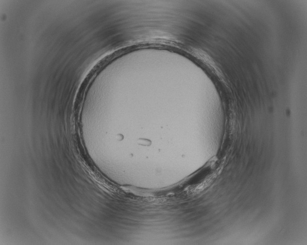 X0000067350924200604281438