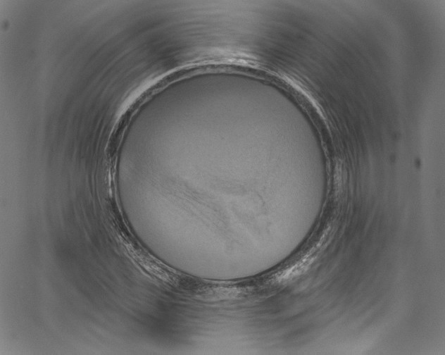 X0000067350925200604281438