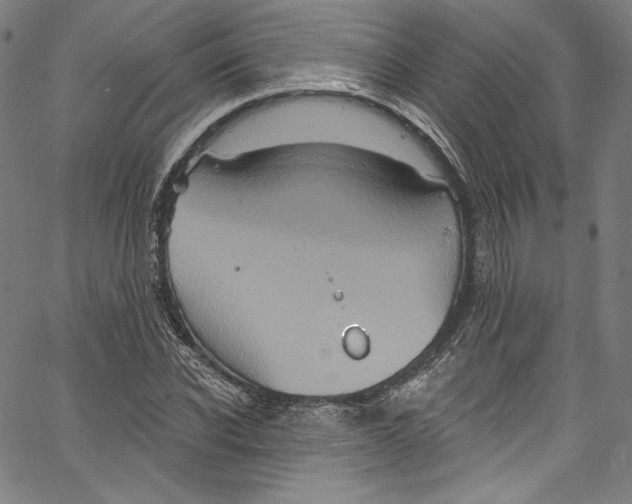 X0000067350926200604281438