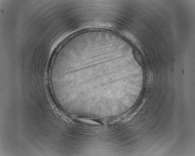 X0000067350928200604281438