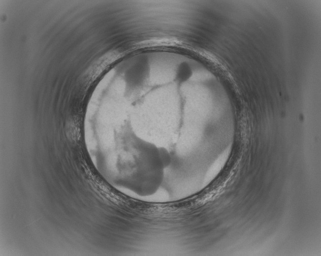 X0000067350929200604281438