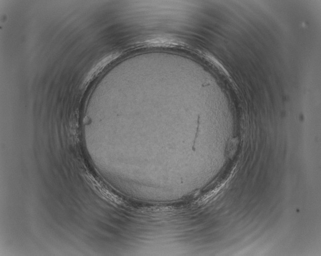 X0000067350930200604281438