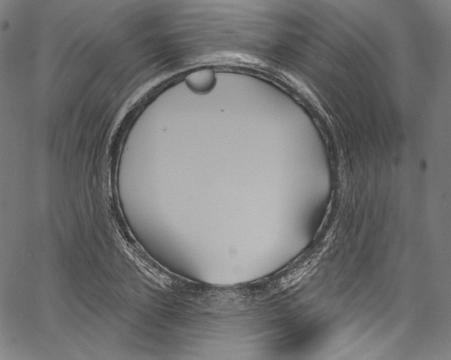 X0000067350931200604281438