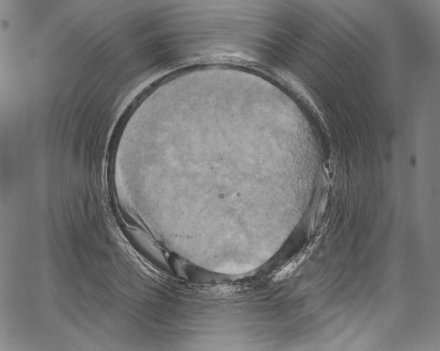 X0000067350932200604281438