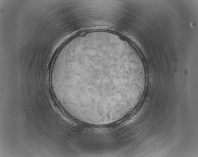 X0000067350933200604281438