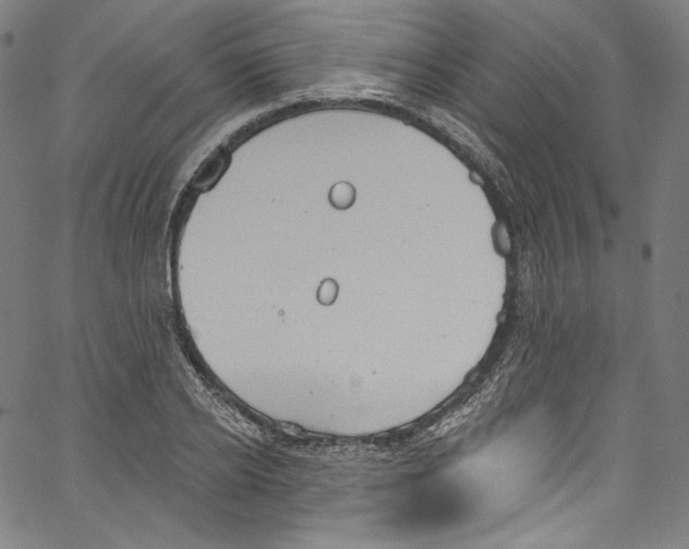 X0000067350934200604281438