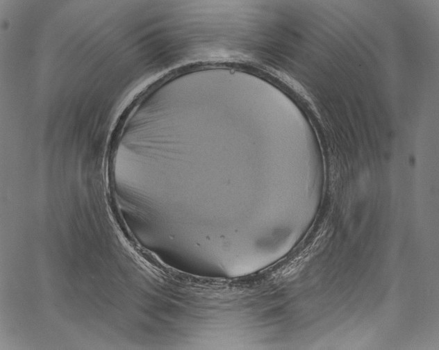 X0000067350935200604281438