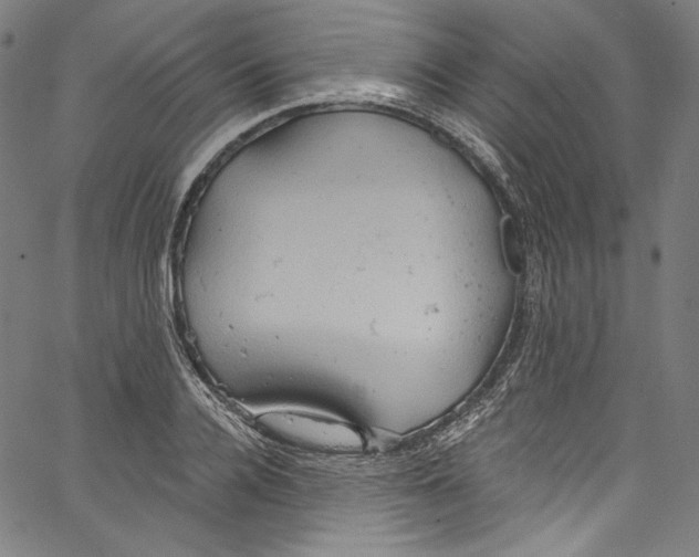 X0000067350936200604281438