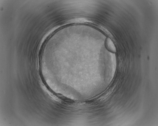 X0000067350939200604281438