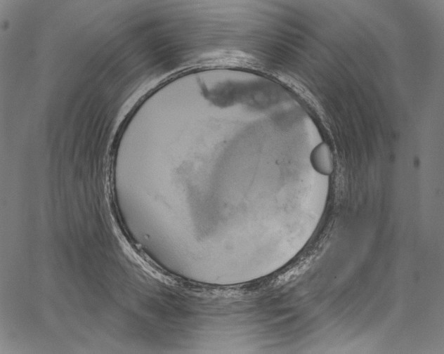 X0000067350941200604281438