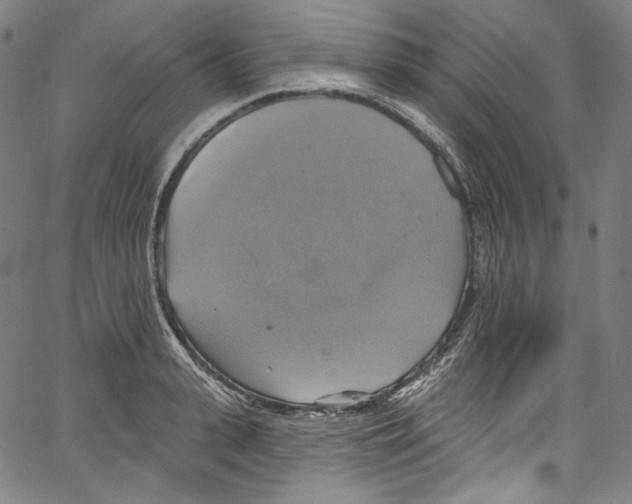 X0000067350943200604281438