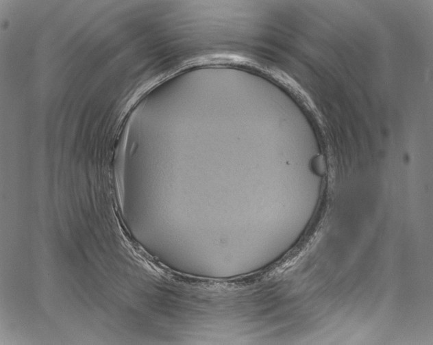 X0000067350945200604281438