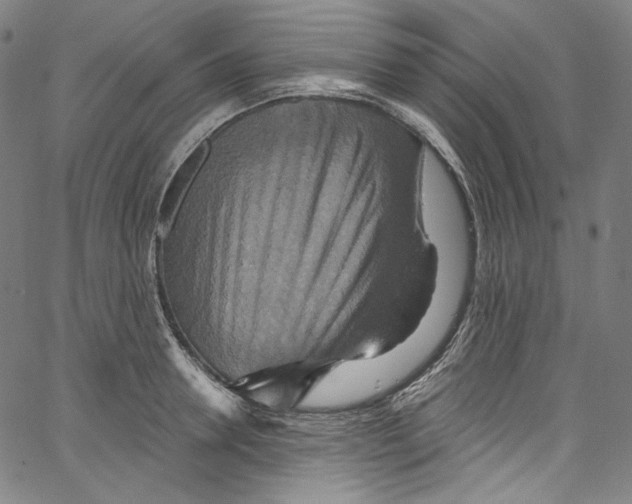 X0000067350946200604281438