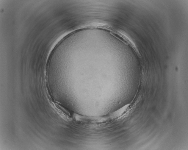 X0000067350948200604281438