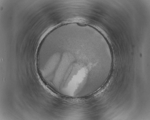 X0000067350949200604281438