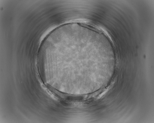 X0000067350952200604281438