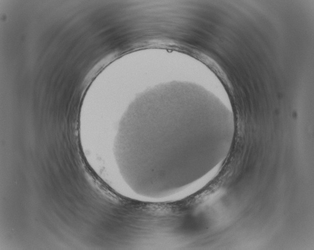 X0000067350954200604281438