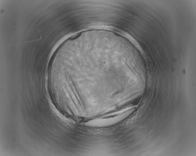 X0000067350955200604281439