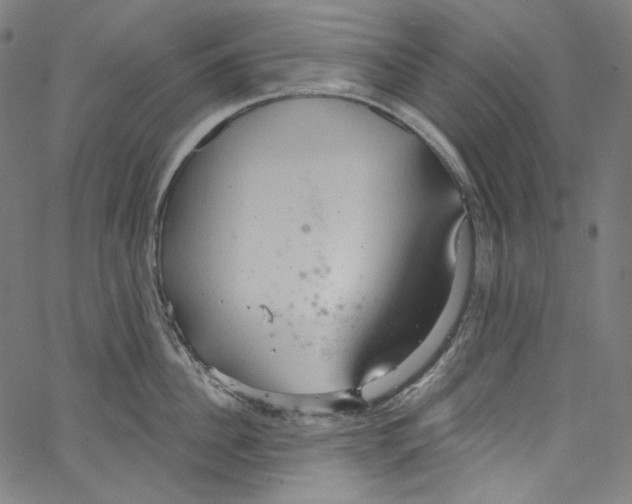 X0000067350956200604281439