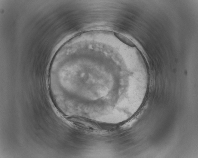 X0000067350957200604281439