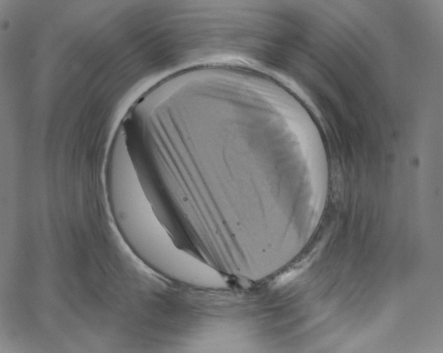 X0000067350959200604281439