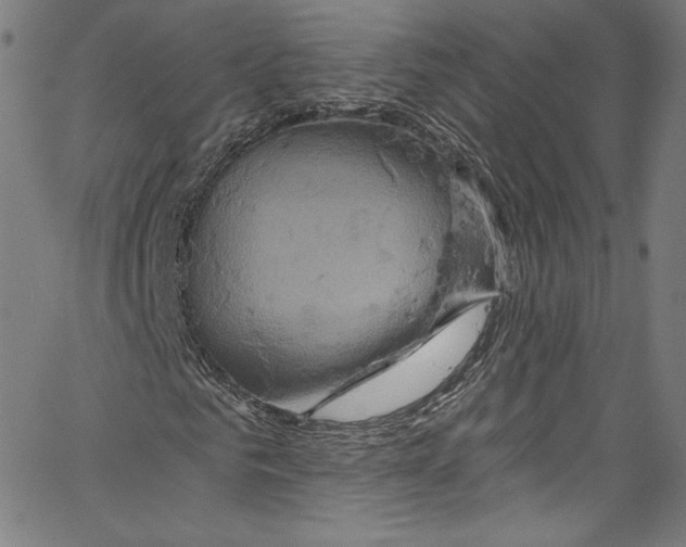 X0000067350961200604281438