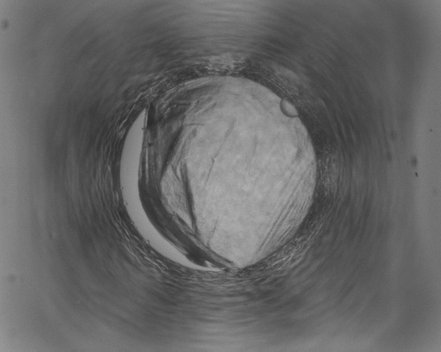 X0000067350962200604281438