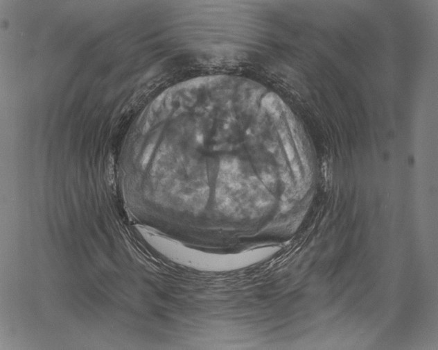 X0000067350963200604281438