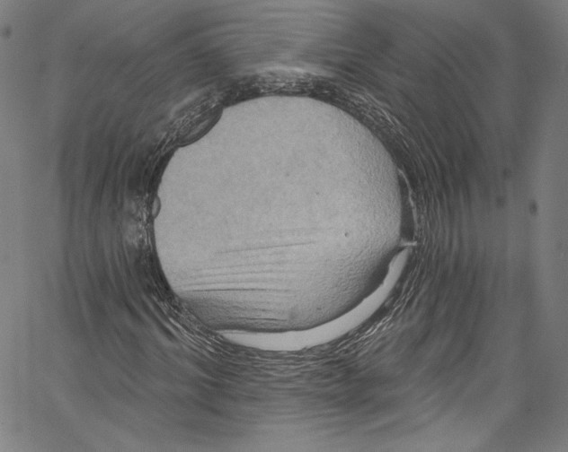 X0000067350964200604281438