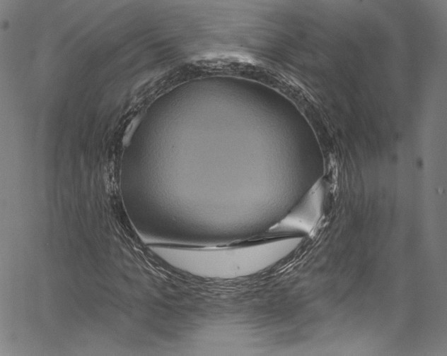 X0000067350965200604281438