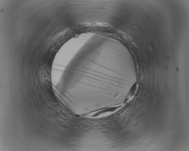 X0000067350966200604281438