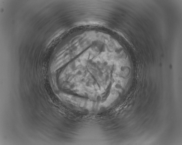 X0000067350967200604281438