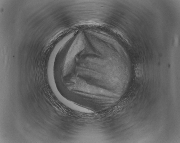 X0000067350968200604281438