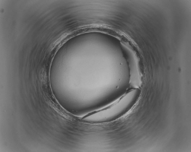 X0000067350969200604281438