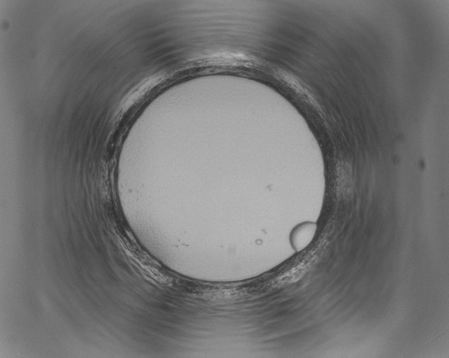 X0000067350970200604281438