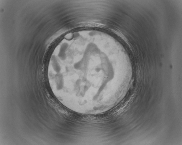 X0000067350971200604281438